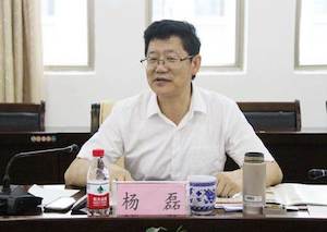 杨磊